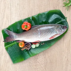 Fish image